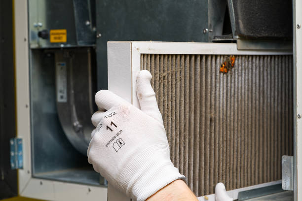 Air Duct Mold Removal in Carney, MD